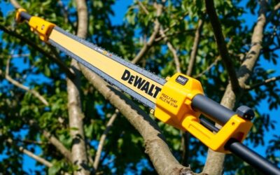 Cut Off Limbs With This DeWalt Pole Saw